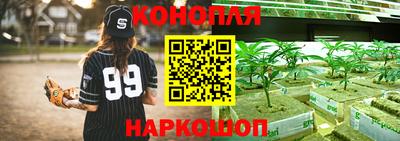 кокаин Гатчина