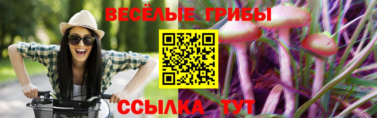 Назарово  Галлюциногенные грибы Cubensis  Вход с VPN  Псилоцибиновые грибы Magic Shrooms 