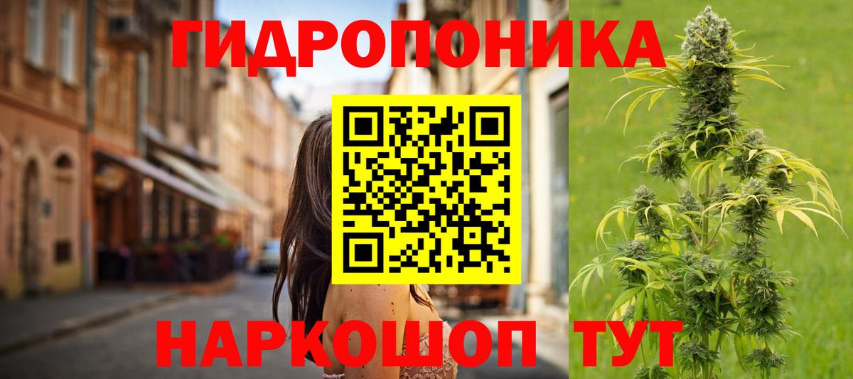 Конопля гибрид Назарово